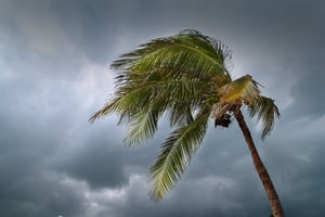 prepare car for hurricane in houston