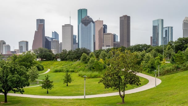City of Houston landscape